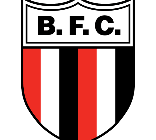 Botafogo-SP Enfrenta Fortaleza na Abertura da Série B: Acompanhe Todos os Detalhes!