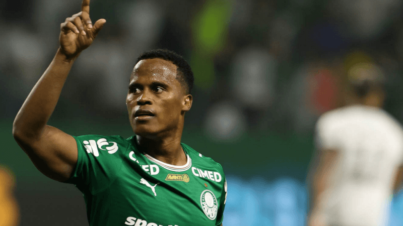 Palmeiras Assume a Liderança do Campeonato Brasileiro Após Vitória Sobre o Botafogo