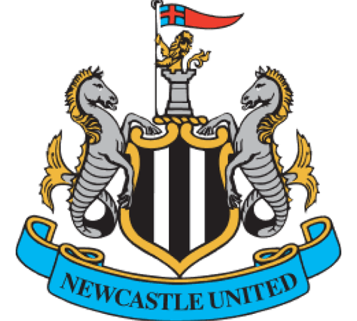 Acompanhe o Confronto Entre Newcastle e Manchester City em Tempo Real