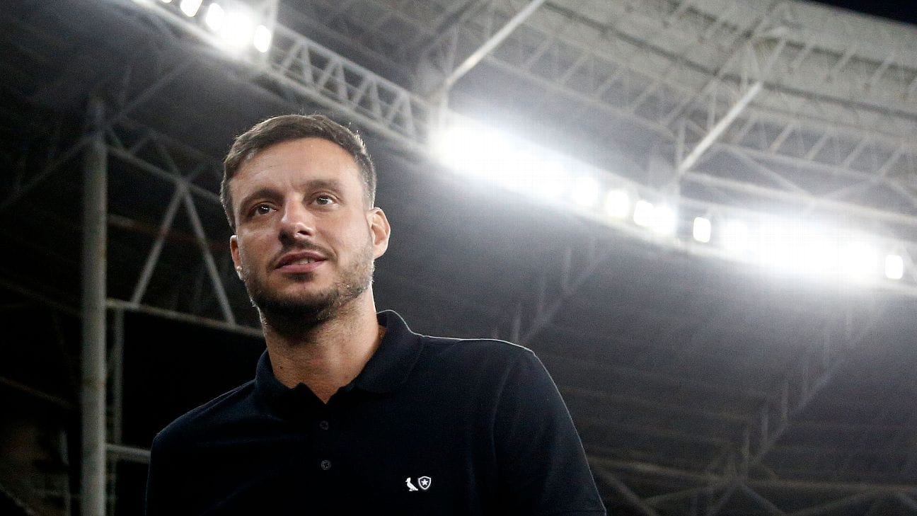 Demissão de Anselmi: Motivos e Perspectivas para o Botafogo