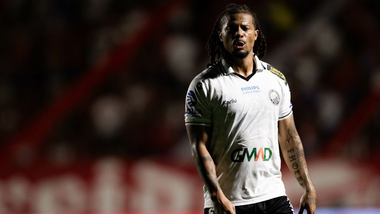 Acusações de Racismo Marcam Conflito Entre Jogador e Torcedor Durante Partida