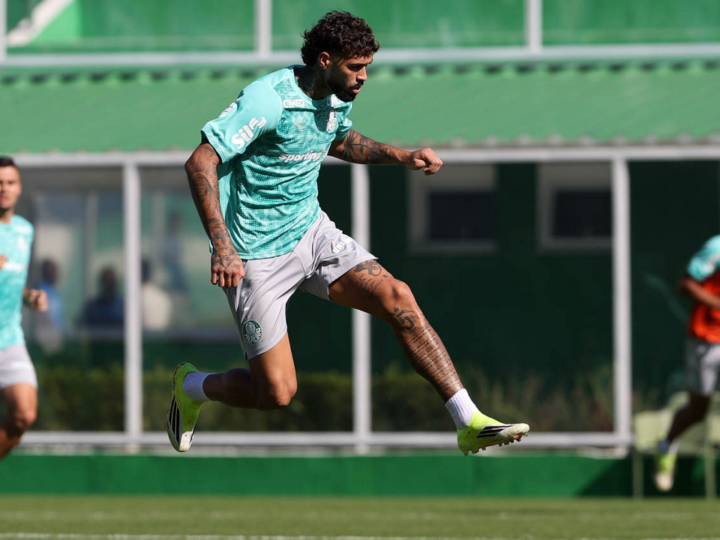 Barboza pode fazer sua estreia pelo Palmeiras em breve
